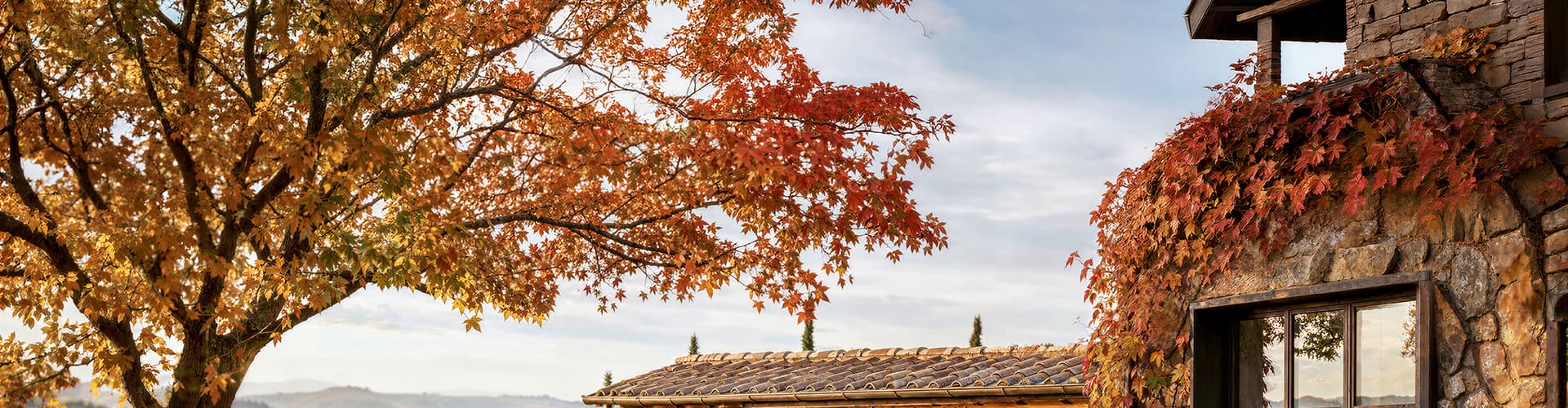Promo Autunno: rinnova la tua attrezzatura a prezzi speciali! | Efco Promo Autunno: rinnova la tua attrezzatura a prezzi speciali! | Efco