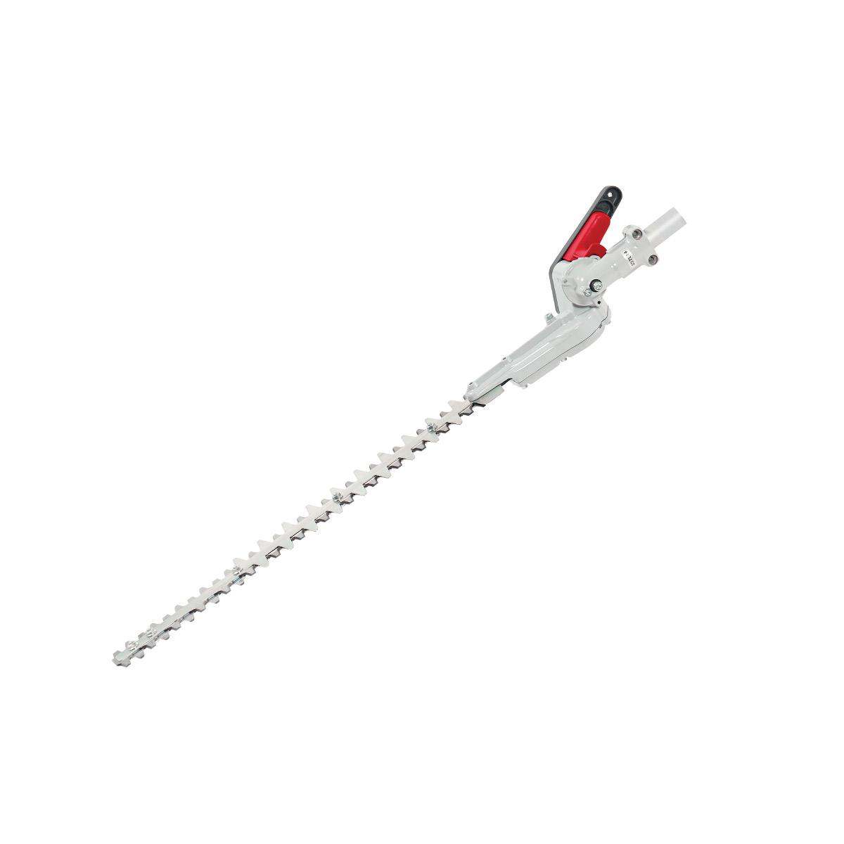 Decespugliatori a batteria DS 2410 D, DS 3000 D e DSi 530 D - Applicazione tagliasiepi_1 | Efco