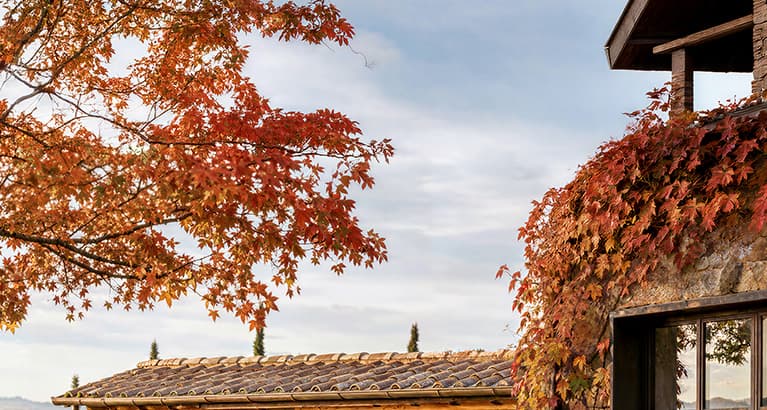 Promo Autunno: rinnova la tua attrezzatura a prezzi speciali! | Efco Promo Autunno: rinnova la tua attrezzatura a prezzi speciali! | Efco