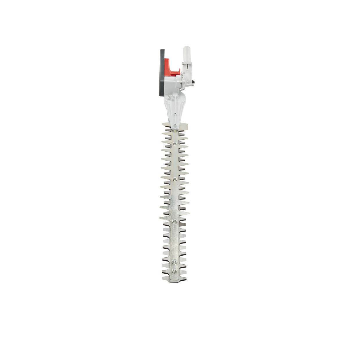 Decespugliatori a batteria DS 2410 D, DS 3000 D e DSi 530 D - Applicazione tagliasiepi_3 | Efco