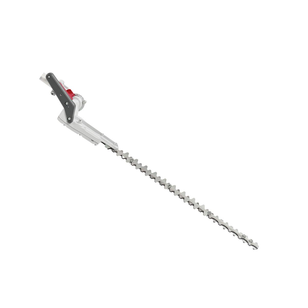 Decespugliatori a batteria DS 2410 D, DS 3000 D e DSi 530 D - Applicazione tagliasiepi_2 | Efco