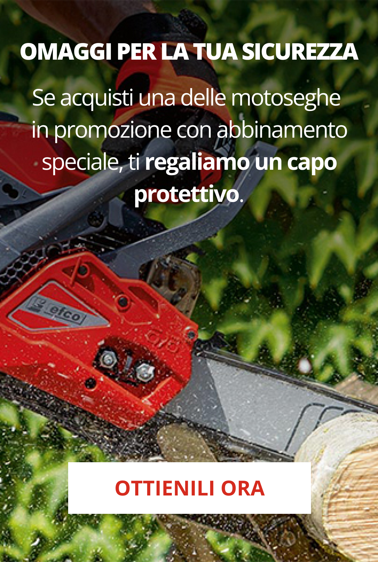 Motoseghe da potatura Stihl