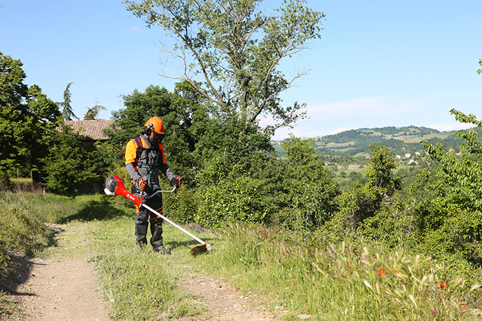 UNA VITE NEL NOSTRO GIARDINO – CELLA VINARIA - Foto 5