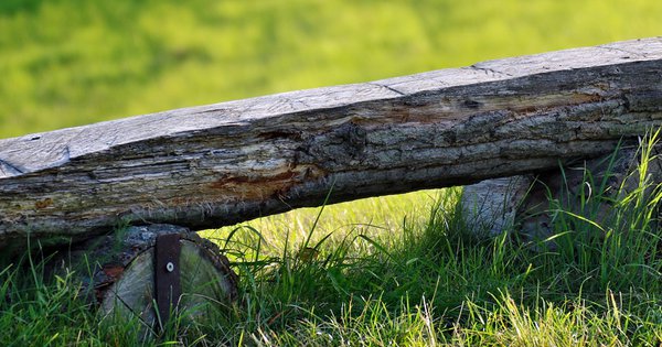 Come Costruire Una Panchina In Legno Fai Da Te Efco