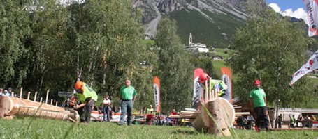 Campionato Italiano di Triathlon del Boscaiolo 2017