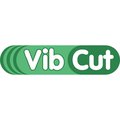 VibCut - Riduce sensibilmente le vibrazioni trasmesse all’operatore durante il lavoro VibCut - Riduce sensibilmente le vibrazioni trasmesse all’operatore durante il lavoro