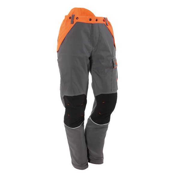 Pantalone tree climbing Pantalone tree climbing