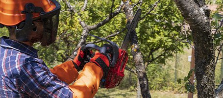 L’attesa è finita: ecco  le nostre novità d’autunno