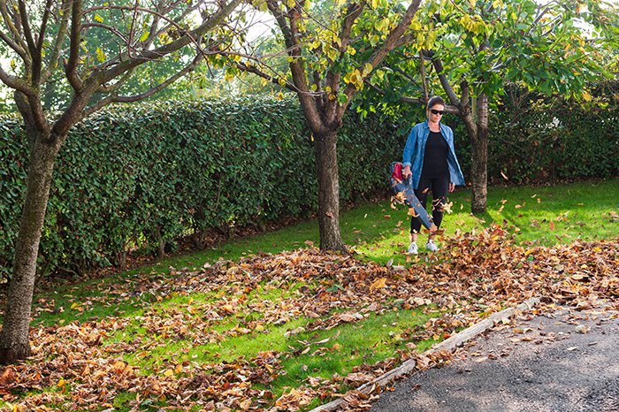 Come creare un giardino zen - Efco